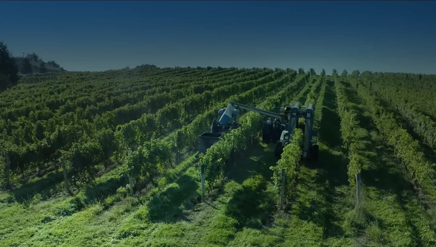 Harvest 2024: A Season of Excellence