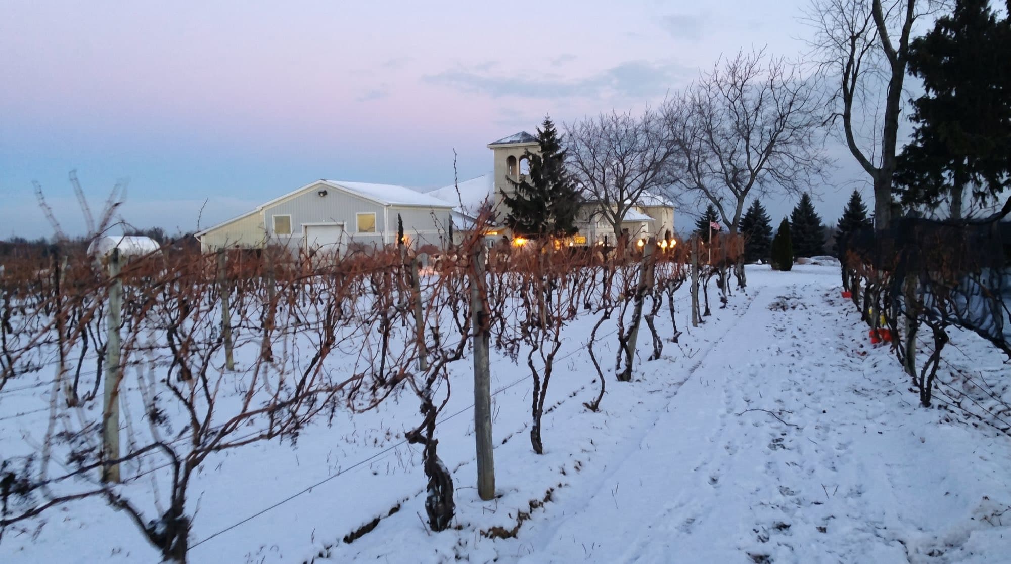 Snow-covered Casa Larga vineyard at dusk during the NYS Ice Wine & Culinary Festival