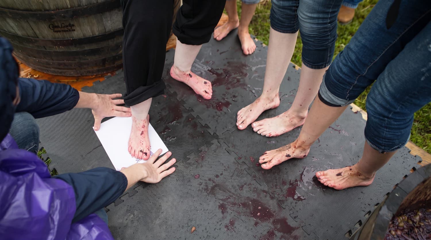 Festival-goers pressing their purple-stained feet onto paper for a souvenir print