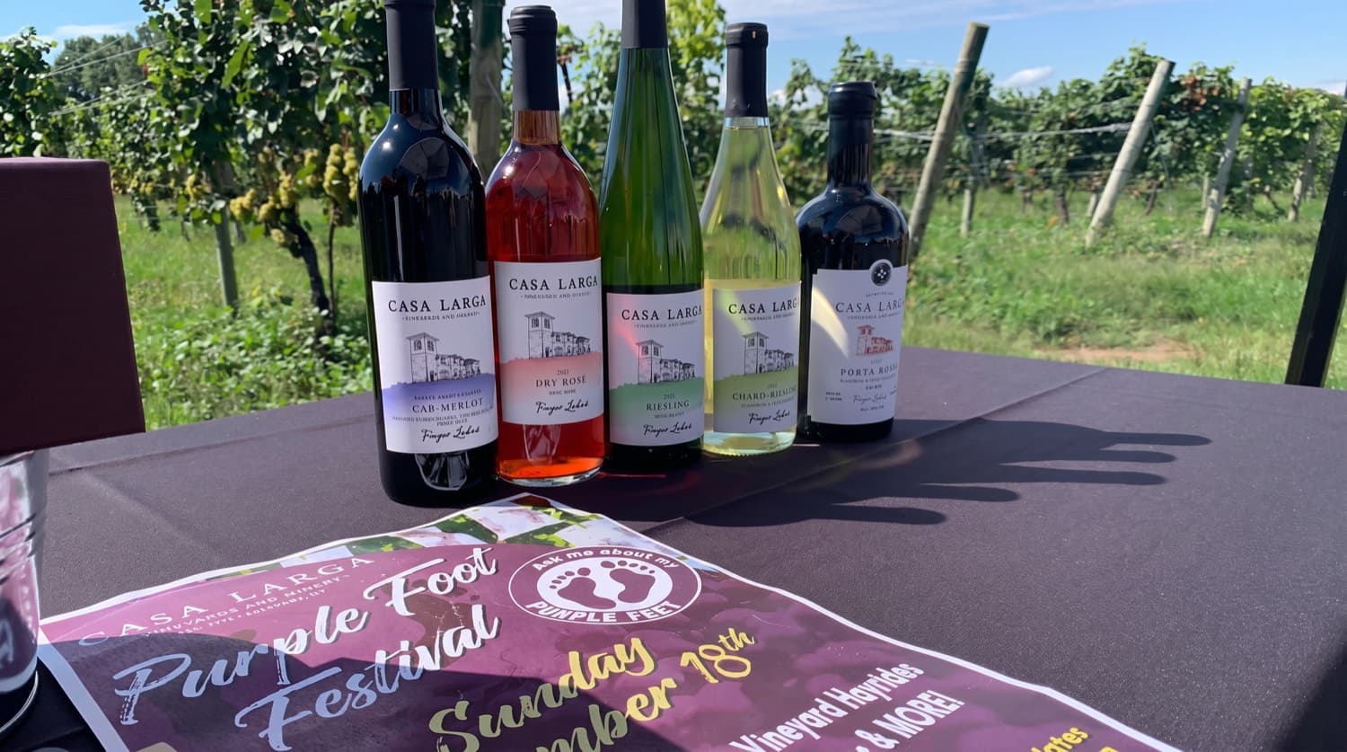 A lineup of Casa Larga wines beside the Purple Foot Festival program in the vineyard
