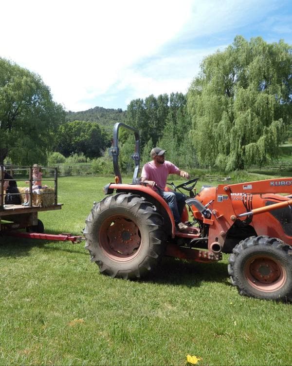 Tractor pulling the vineyard wagon