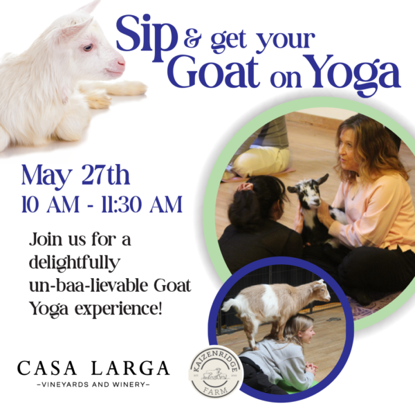 Sip & Goat Yoga - May 27, 2026, 10:00AM - 11:30AM